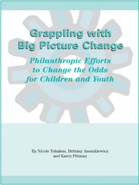 Download Grappling with Big Picture Change