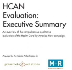 Download Executive Summary of Findings and Lessons from the HCAN Campaign