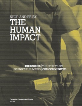 Download Stop and Frisk: The Human Impact